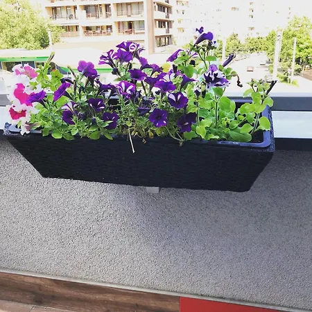 Relax And Terrace 아파트 *